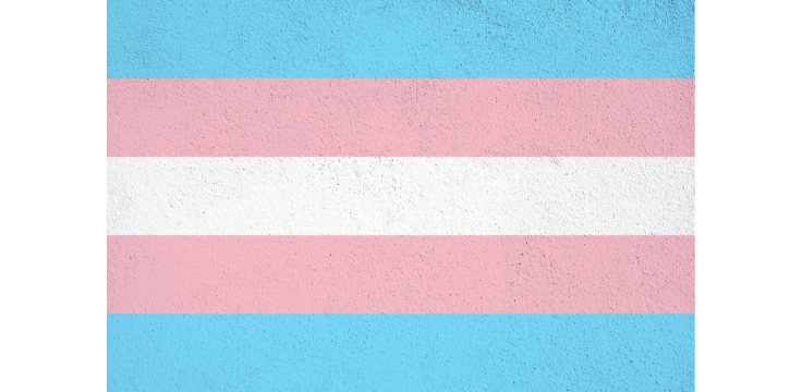 International Transgender Day of Visibility: Amplifying Voices and Advocating for Equality